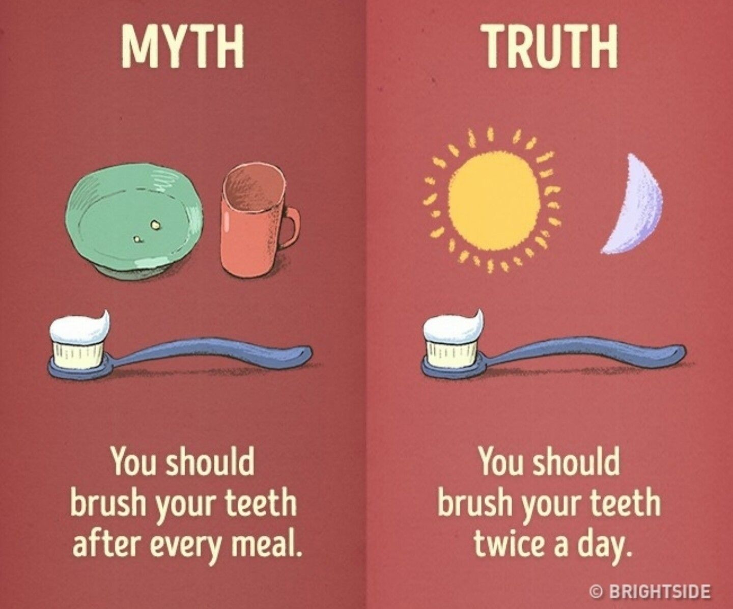 Healthy Eating on a Budget: Myths vs Reality