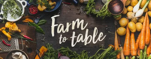 From Farm to Plate: Exploring Organic Cuisine in Travel Spots